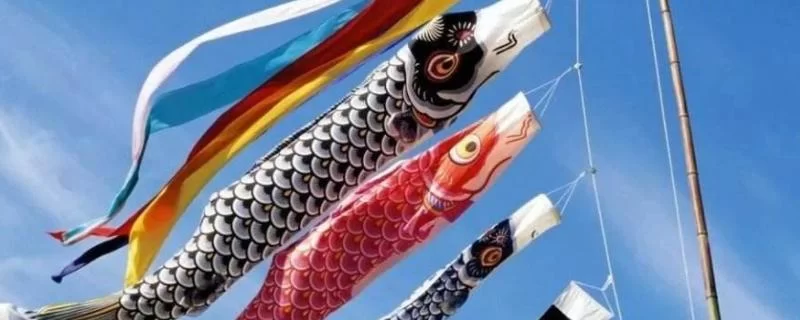 鲤鱼旗是什么节日的象征？日本男孩节的独特风俗！