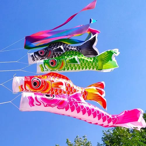 鲤鱼旗是什么节日的象征？日本男孩节的独特风俗！
