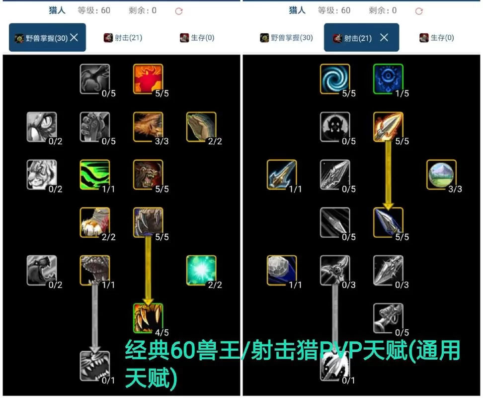 鳄鱼天赋详解：魔兽世界WLK猎人宠物天赋推荐