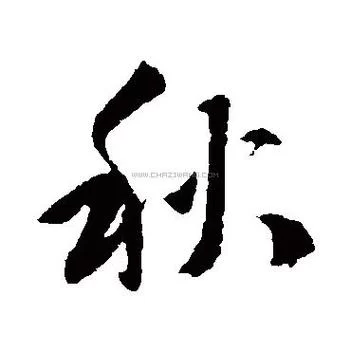 鵭字的多种含义和用法详解