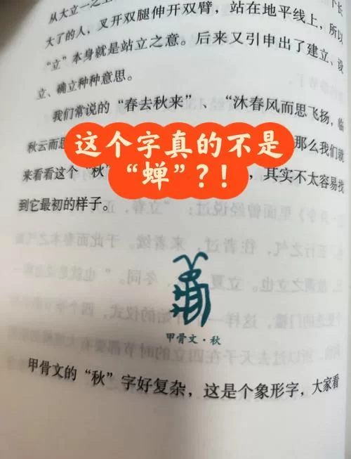 鵭字的多种含义和用法详解