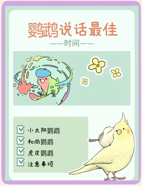 鹦鹉学说话循环录音素材：让你的鹦鹉开口说话
