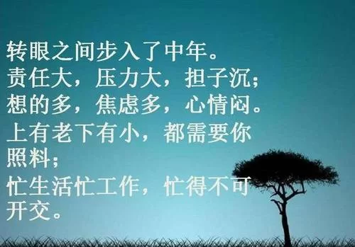 黄图大全：精选高清图片，释放你的压力和疲惫