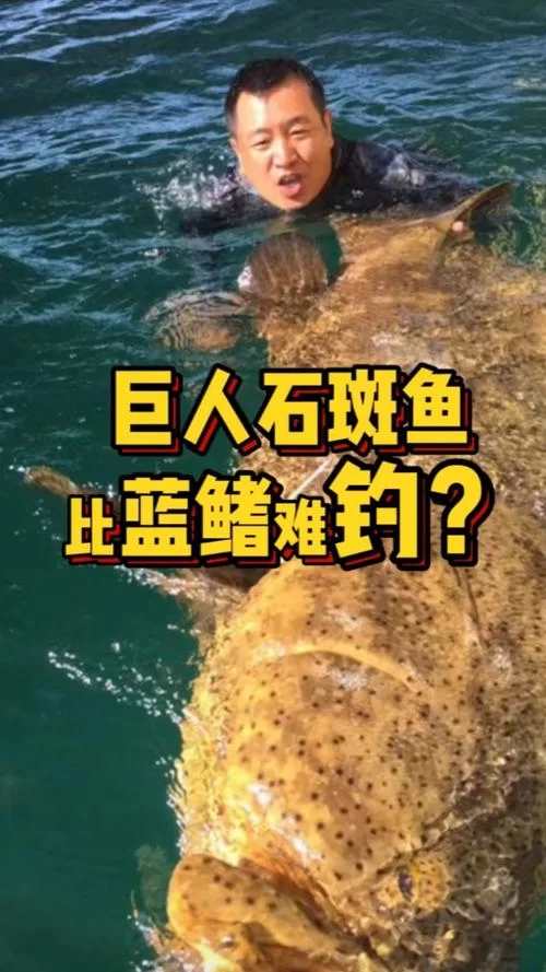 黑海岸石斑鱼在哪钓？高效捕获秘籍大公开