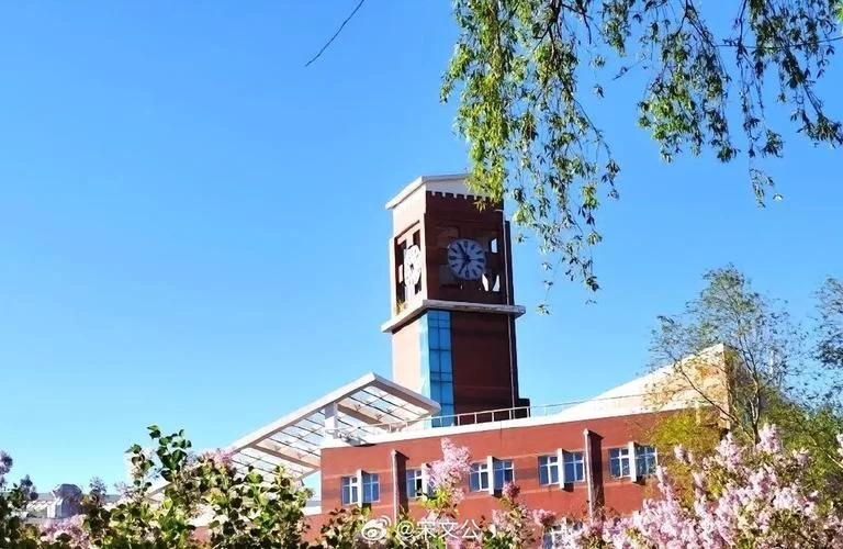 齐齐哈尔大学校园网升级：网速提升体验更好