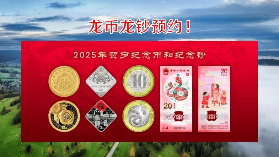 龙币商城：海量珍稀道具，等你来兑换！