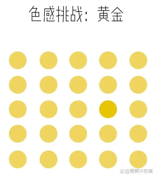 ETO女孩子的美妙生活官方网站怎么找？正确网址一点就到！