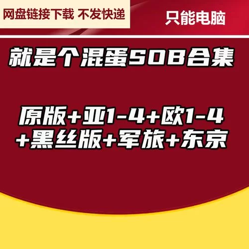 SOB军旅DLC含本体汉化版下载哪里找？这里有靠谱资源！