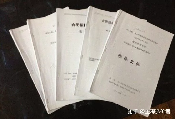 代理机构如何下载特定文件？专业人士分享经验！