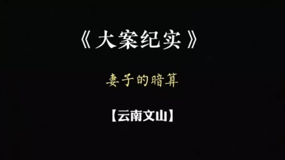 传播欲望汉化版下载哪里找？稳定安全的获取方式看这里！