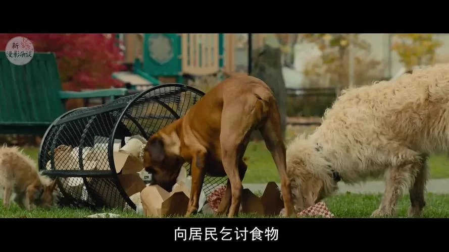 危险的回家路如何下载？完整攻略，新手必看！