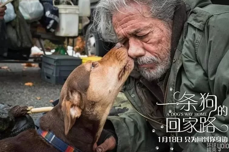 危险的回家路汉化版最新更新，不容错过的精彩内容！
