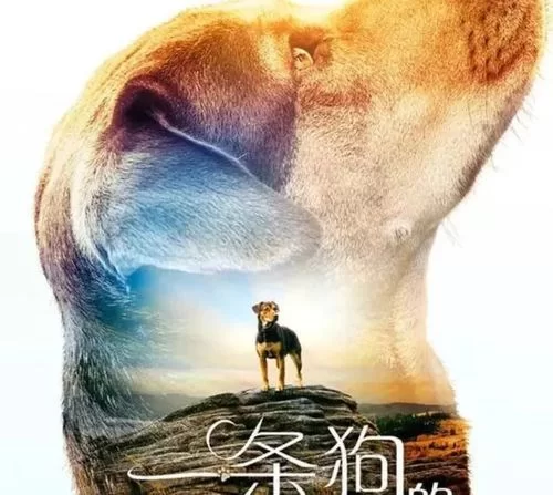 危险的回家路版本大全：高配置手机玩哪个版本？