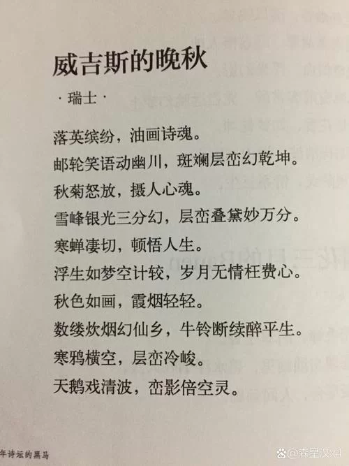 厚颜无耻的十四行诗在哪下载方便？我来分享几个渠道！