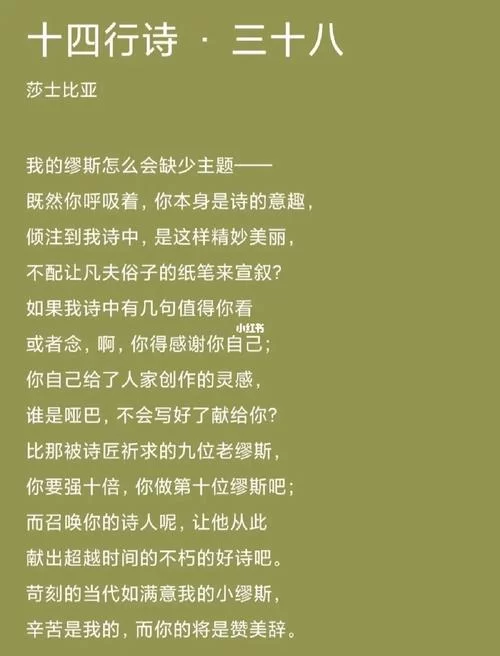 厚颜无耻的十四行诗官方网站在哪？轻松找到入口地址！