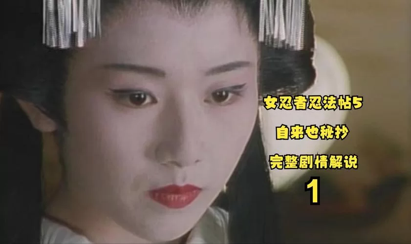 女忍条教版本大全推荐，这几款不容错过哦！