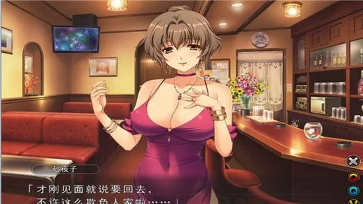 妻中密在哪下载好用版？老玩家分享经验不走弯路！