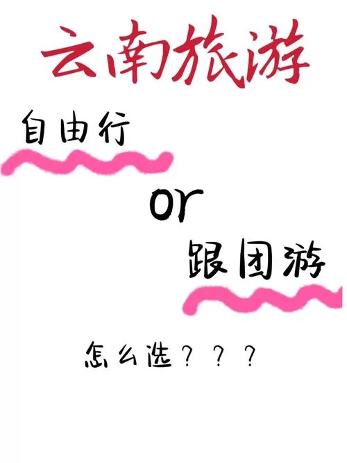 妻中密版本大全：哪个版本最值得玩？老司机来解答