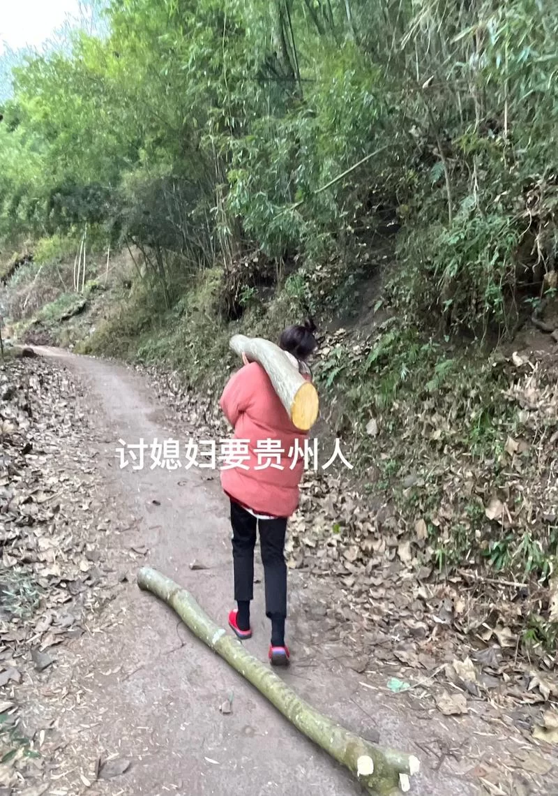 孝顺的妻子官网怎么找？认准这个官方入口不迷路！