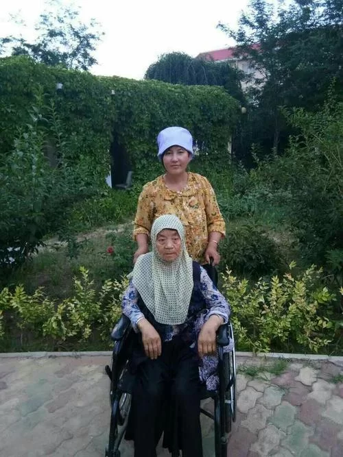 孝顺的妻子更新地址在哪里能找到？最新入口分享给大家！