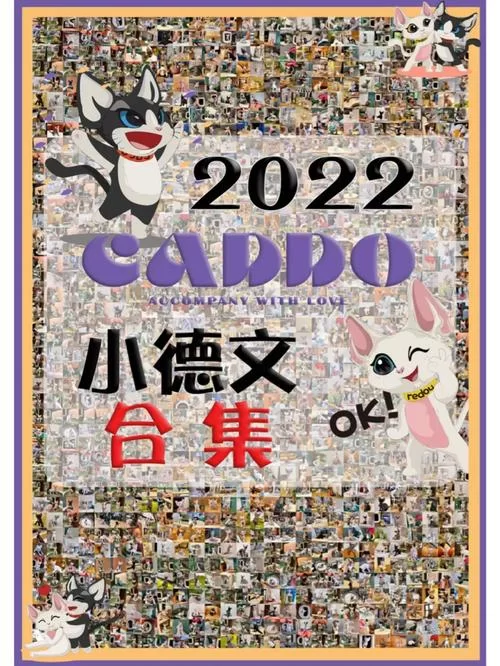幸福家庭资源哪里找？幸福家庭下载看这里！
