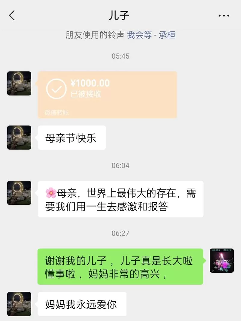 想学孝顺的妻子如何下载？这里有完整教程指南！