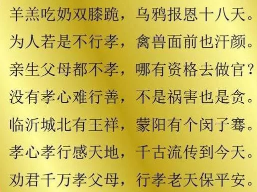 想找孝顺的妻子游戏攻略大全？这篇详细教程别错过！