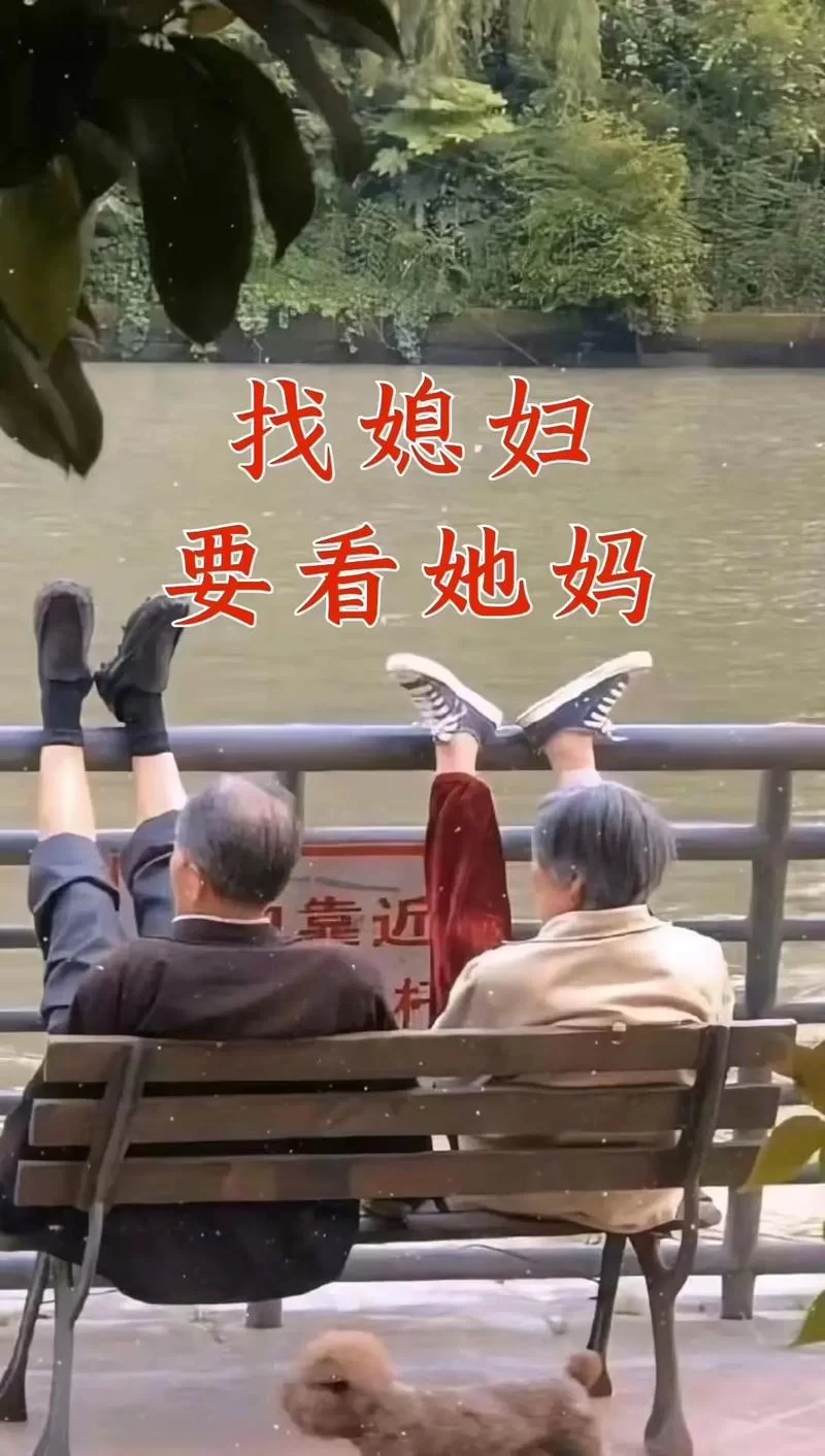 想找孝顺的妻子游戏攻略大全？这篇详细教程别错过！