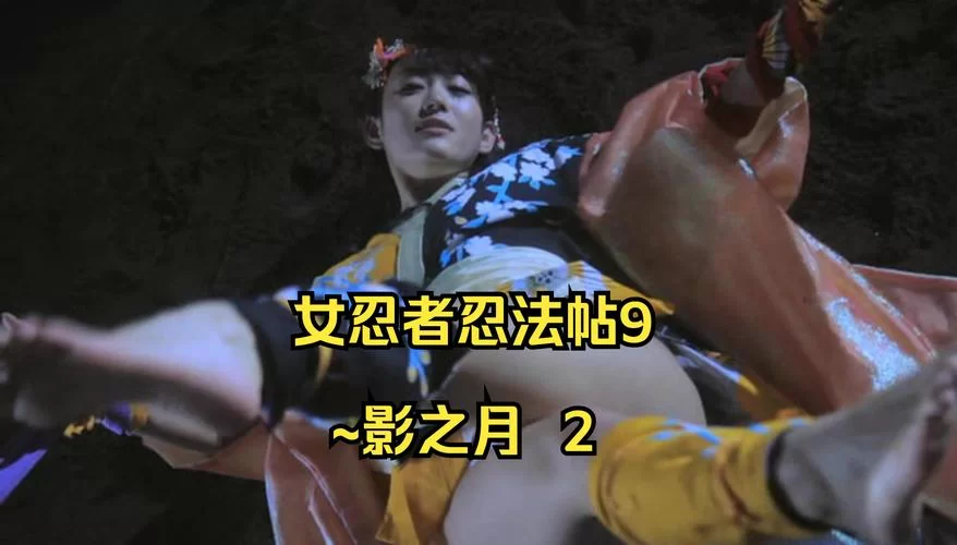 想看女忍条教官网？新手入门指南一看就懂！