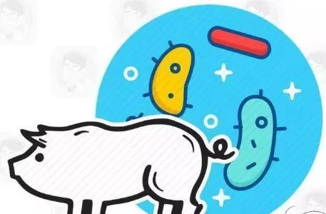 想知道小十七11部合集最新版本是多少？这里有你想知道的答案！