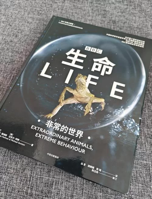 想要最新的生命体v0.17d更新地址？看这篇文章就够了！
