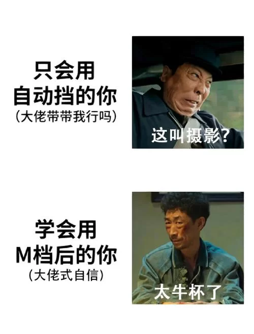 新手必备M上攻略合集版本大全，看这个就够了不再走弯路。