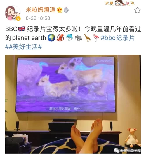 新生也疯狂更新地址难找吗？老粉分享稳定观看源！