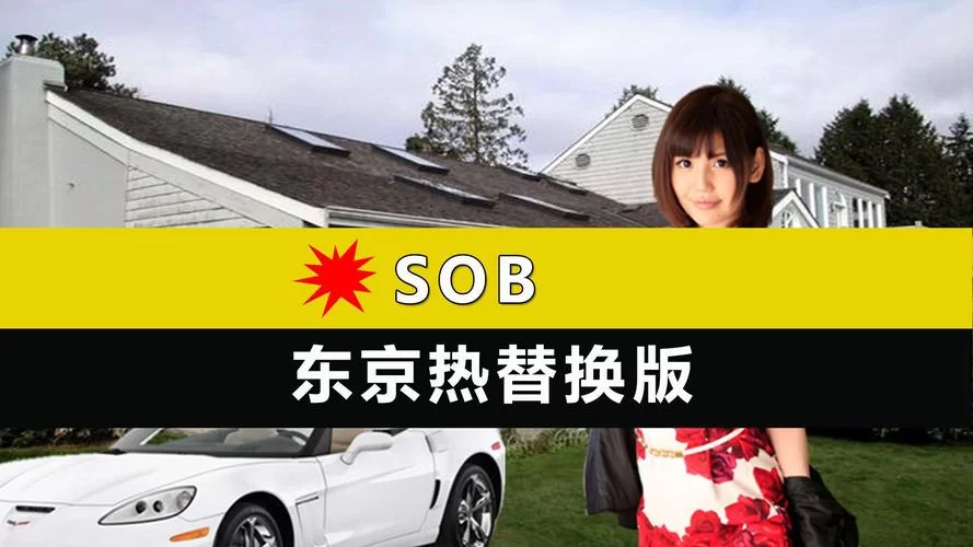 最新SOB亚替合集下载地址分享，再也不愁找不到啦！