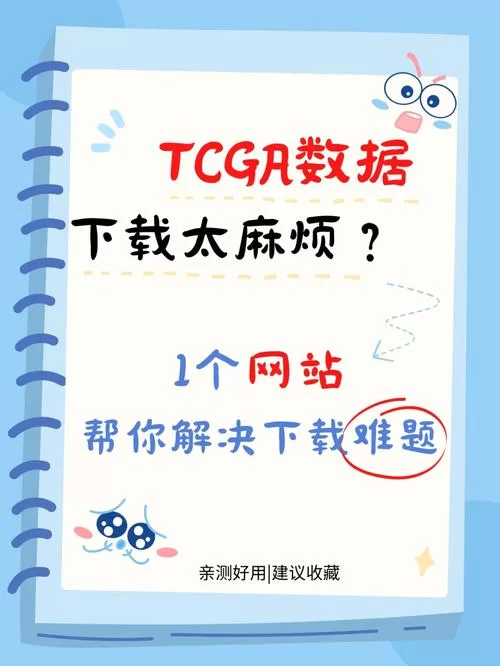 校花小冰最新版本是多少？常见问题解答，帮你解决使用难题！