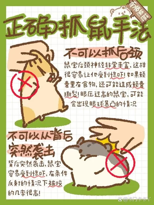 爆炎之孕2官方网站怎么登录？新手快速上手操作指南！