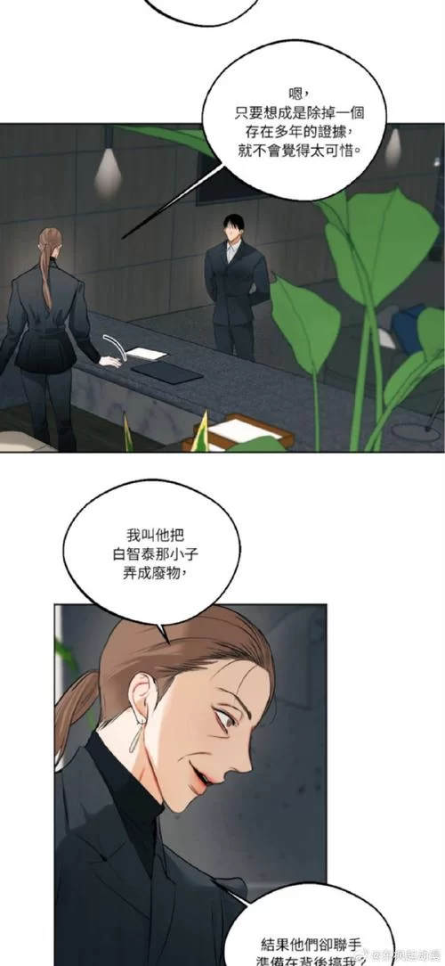 爱欲之塔版本大全：下载前必读！不同版本的优缺点解析