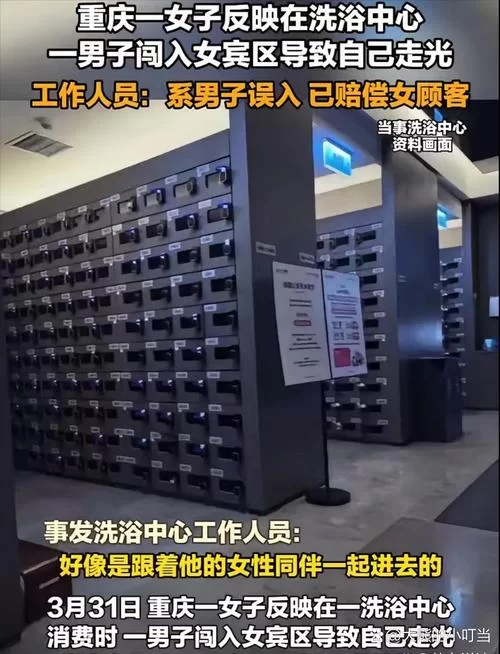 生命体v0.17d官方网站入口在哪？最新地址马上看！
