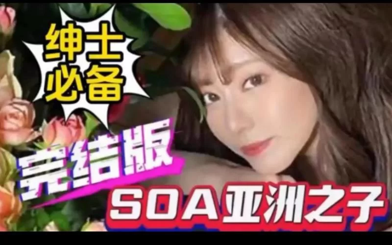 还在找SOA水上乐园最新版本？看完这篇就够了！