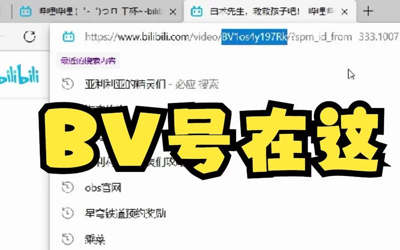还在找SOBV0.31精翻更新地址？这里有最新最全的！