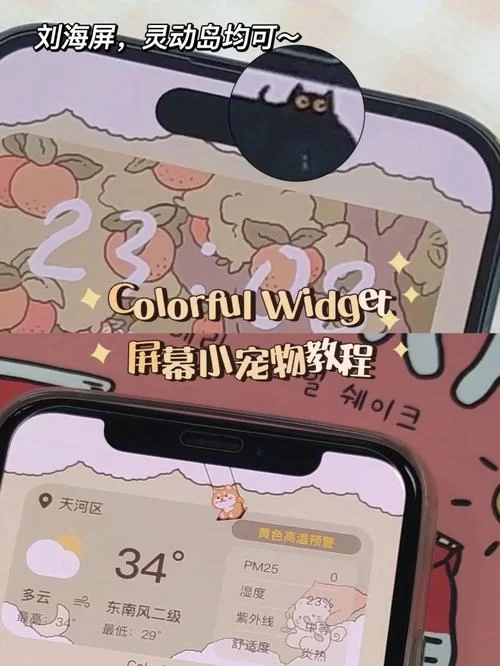 nekotto岛下载安卓超简单教程！三分钟包你学会怎么安装！