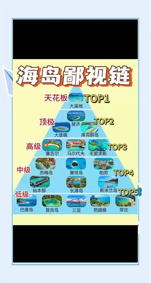 nekotto岛在哪下载？这几个靠谱方法快来看！