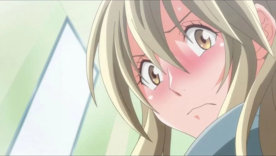 NTR办公室在哪下载靠谱？新手看这里避免踩坑！