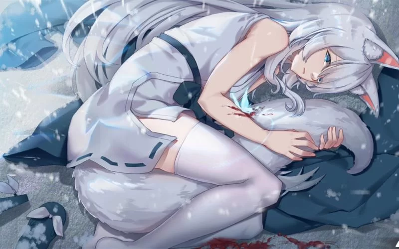 与狐妖的同居生活版本大全怎么选？内行人教你挑对的！