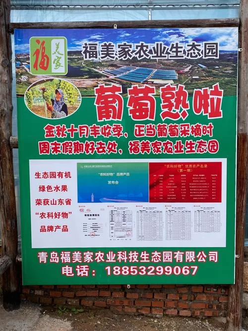 乡下生活最新版本是多少？新版特性抢先了解！
