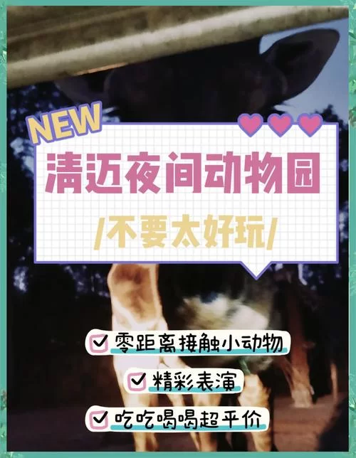 亲密接触版本大全有哪些？超全版本指南看这里！