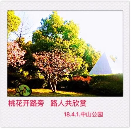 优艳之花版本大全怎么找？(一篇文章帮你集齐所有版本)