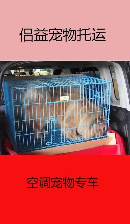 冥婚交友中心下载安卓安全吗？下载前务必注意这几点！