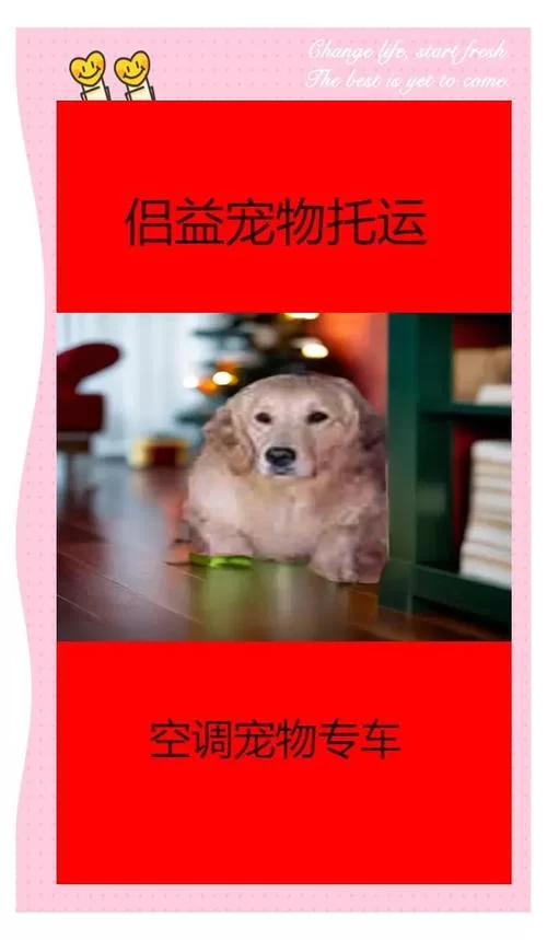 冥婚交友中心下载安卓安全吗？下载前务必注意这几点！
