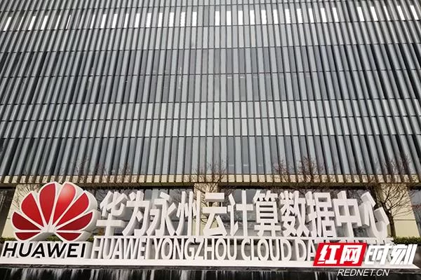 凤凰V11外传Wet现在最新版本号是多少？新手必看指南！